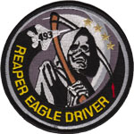 493rd FS F-15 EAGLE Driver