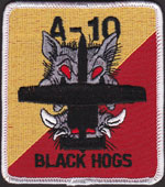 103rd FS A-10 Black Hogs