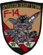 F-14 Desert Storm 1991